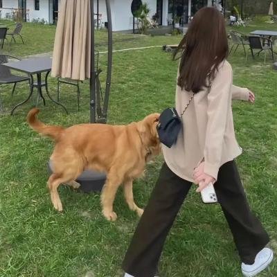 沉默的共谋者